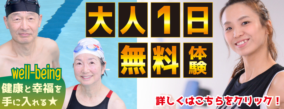 大人体験