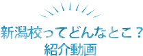 新潟校はどんなとこ？