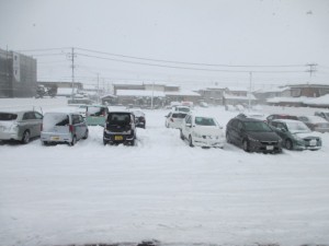 IMG_0306
