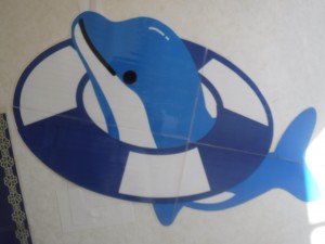 DSCF5706