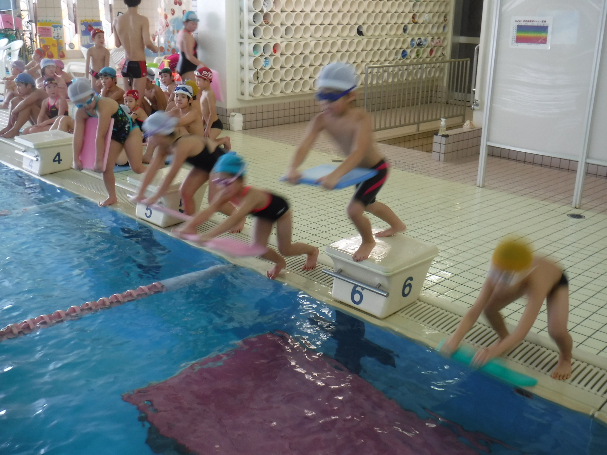 スーパーちびっ子チーム ダッシュスイミングスクール ダッシュスポーツクラブ 新潟 三条 新津 スーパーちびっ子チーム ダッシュスイミングスクール ダッシュスポーツクラブ 新潟 三条 新津