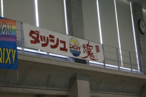 IMG_6641