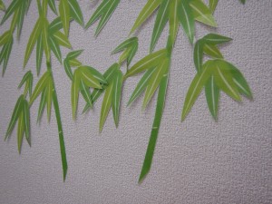 DSCN2355